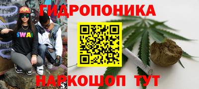 mdpv Рыбинск